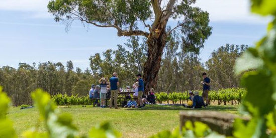 St Leonards Vineyard, Wahgunyah