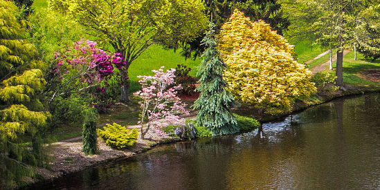 Flowers & gardens - Travel Victoria: accommodation & visitor guide